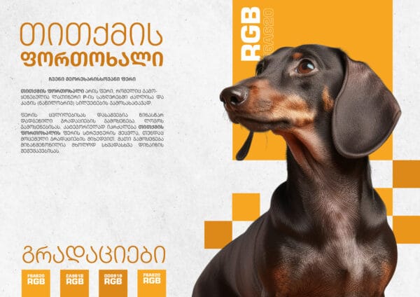 PetsPamper Branding-05