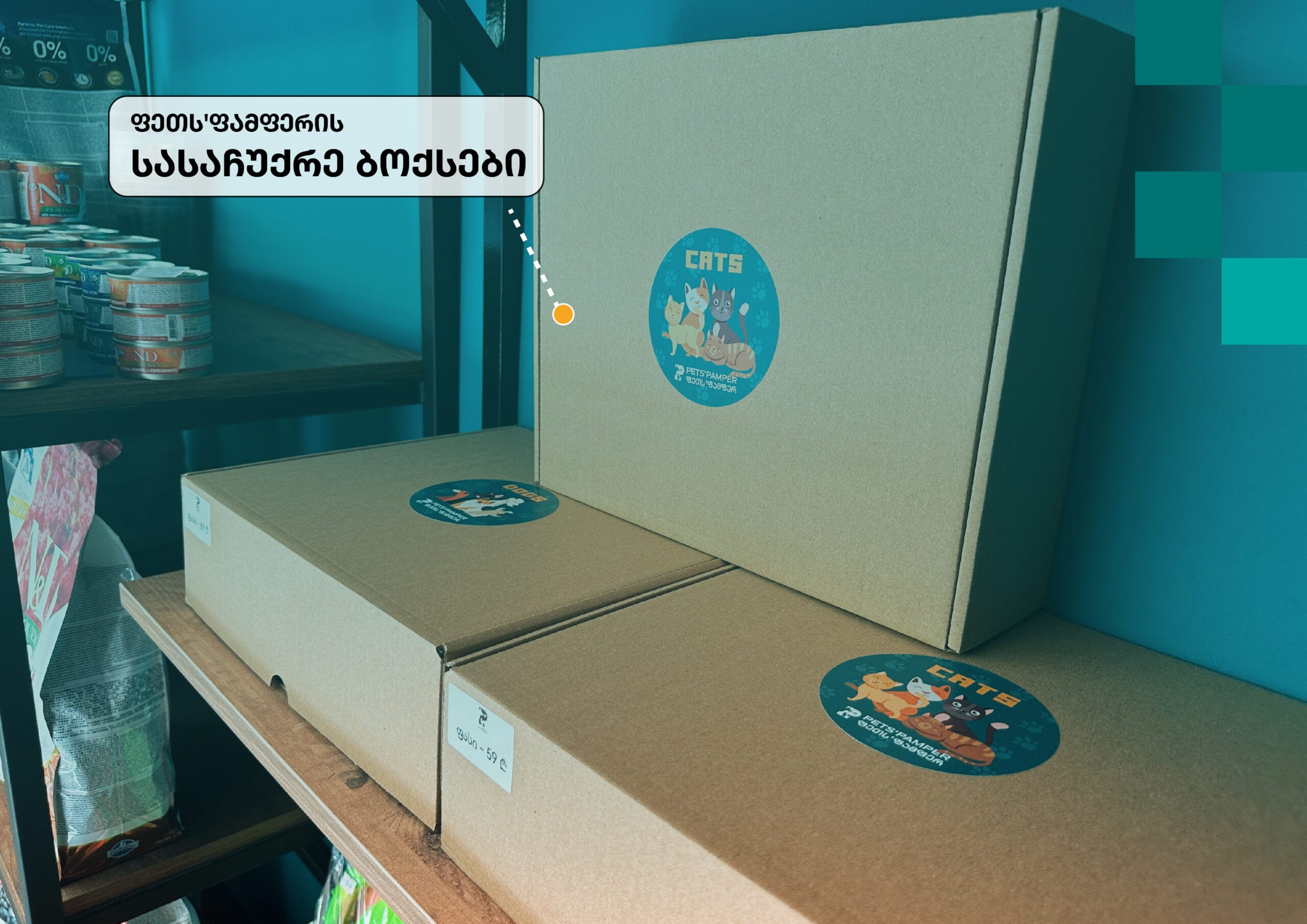 PetsPamper Branding-16