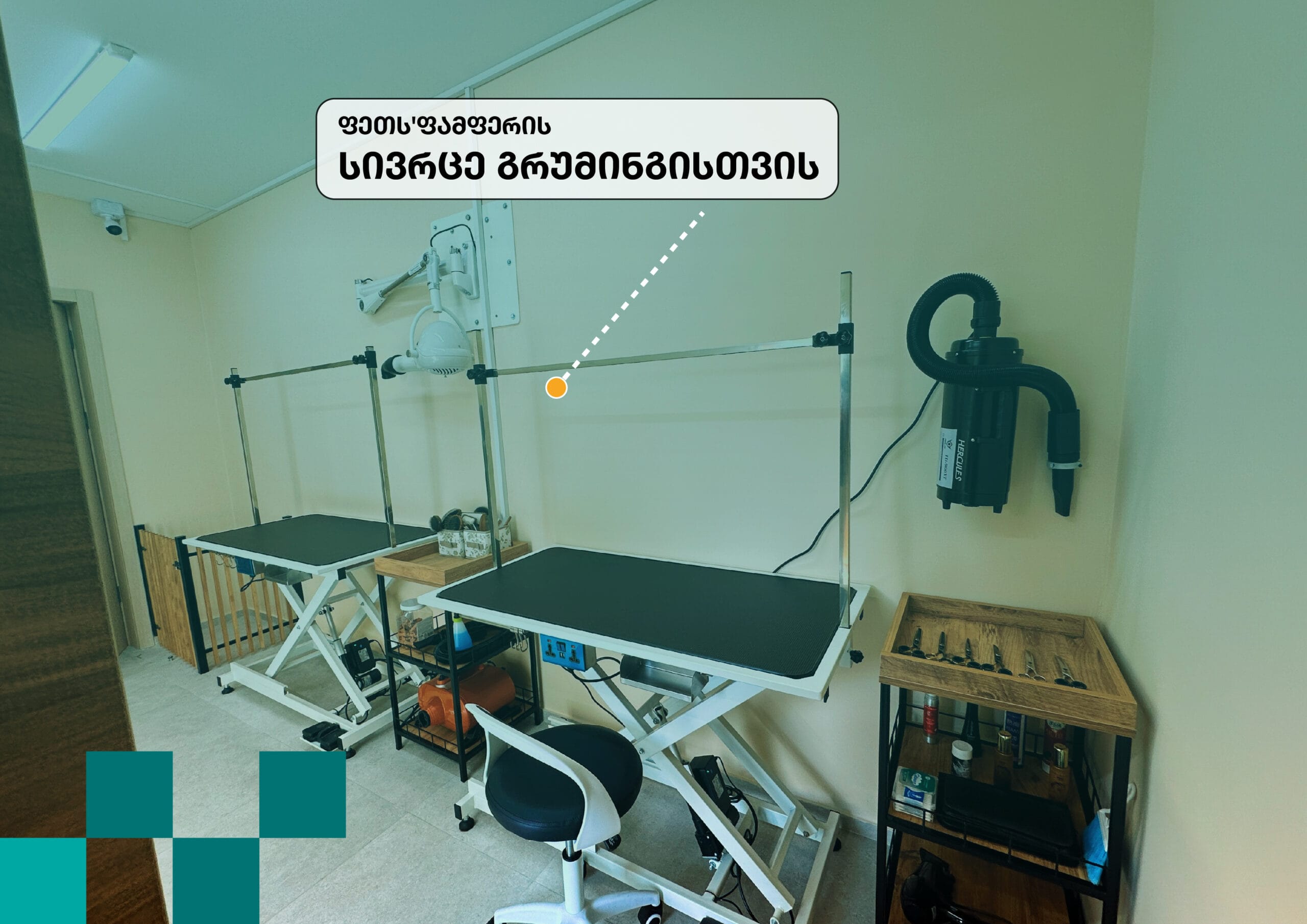 PetsPamper Branding-17